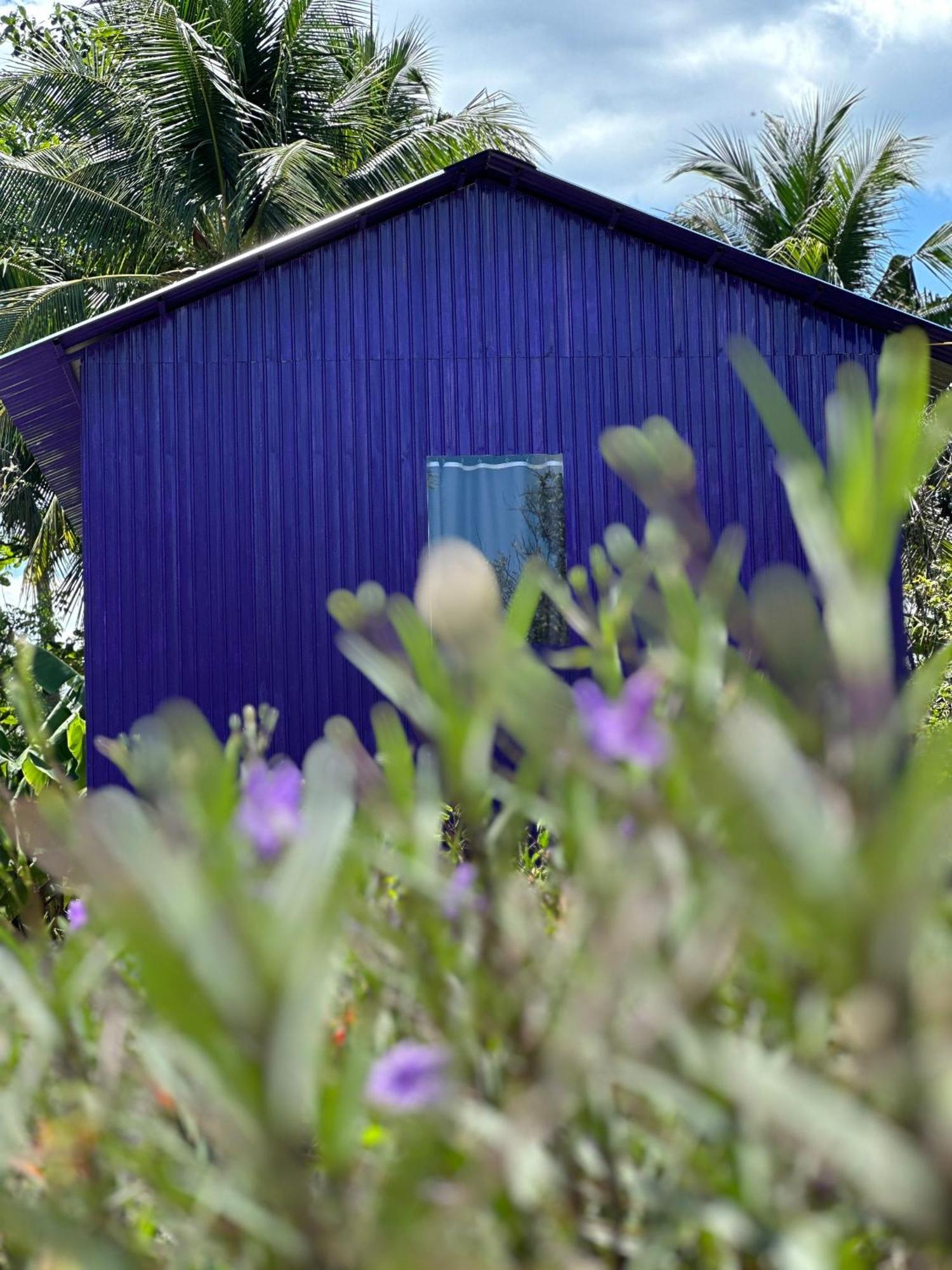 Hide Away Bungalows In Ben Tre City Buitenkant foto