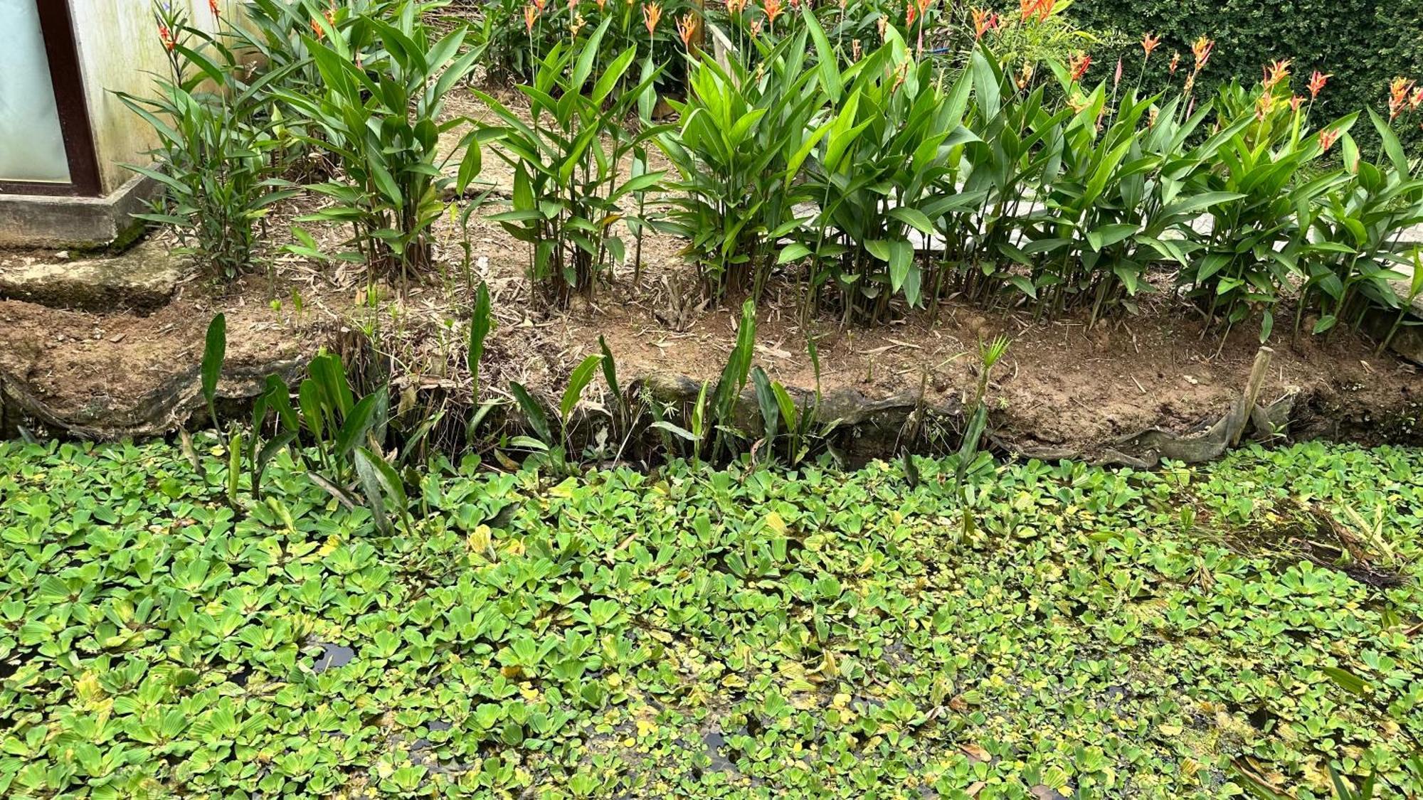 Hide Away Bungalows In Ben Tre City Buitenkant foto